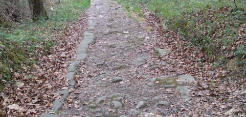 Askatasun bidaian lehen etapa