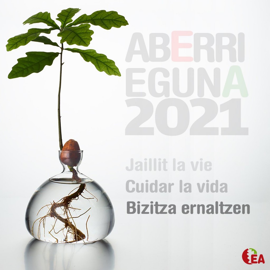 2021 Aberri Eguna zabal (002)